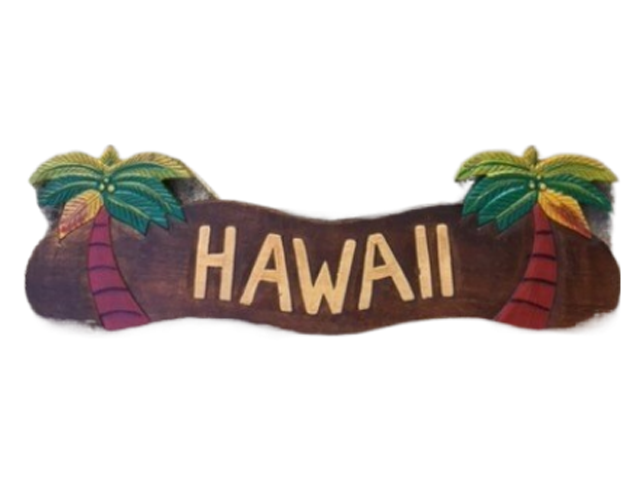 "Hawaii" Coconut Tree Wood Sign